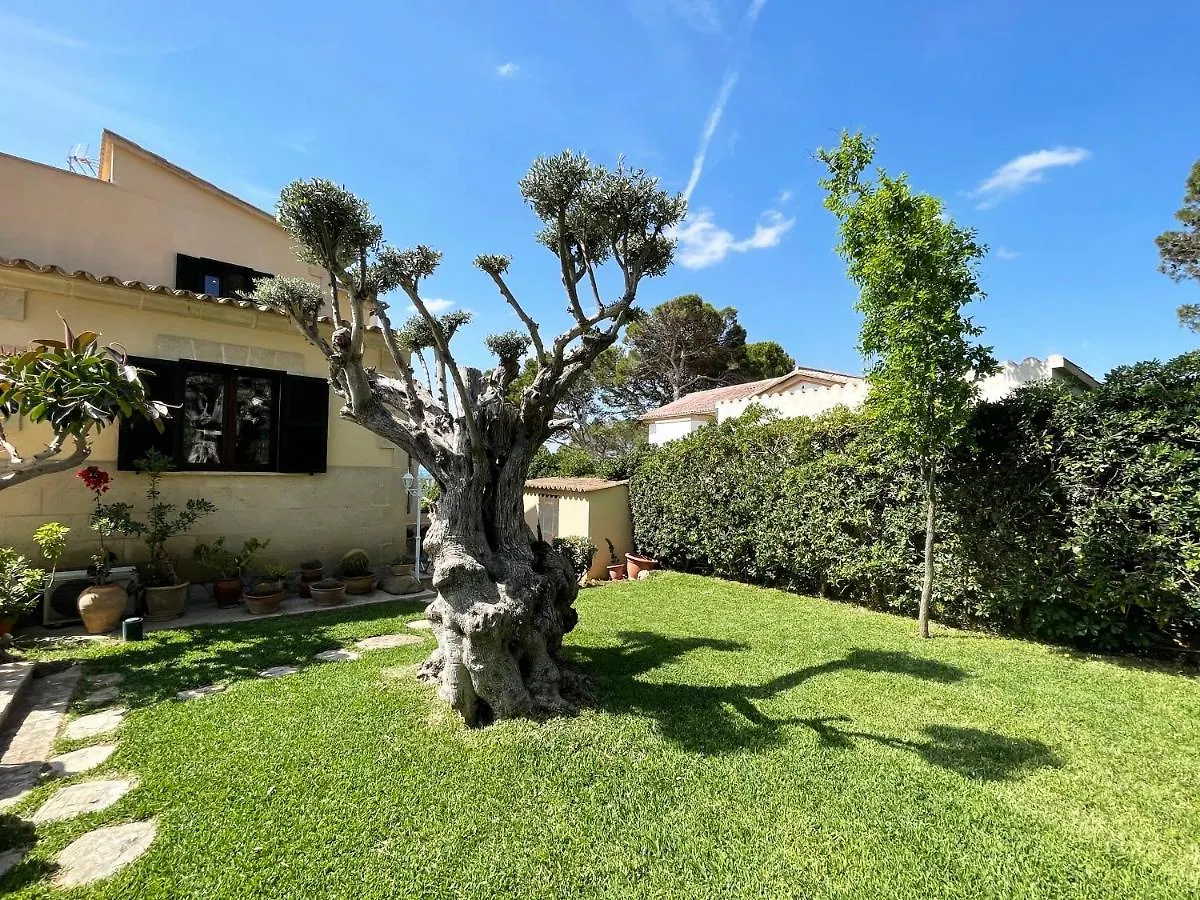 Villa Kamok Palma de Mallorca Spanien